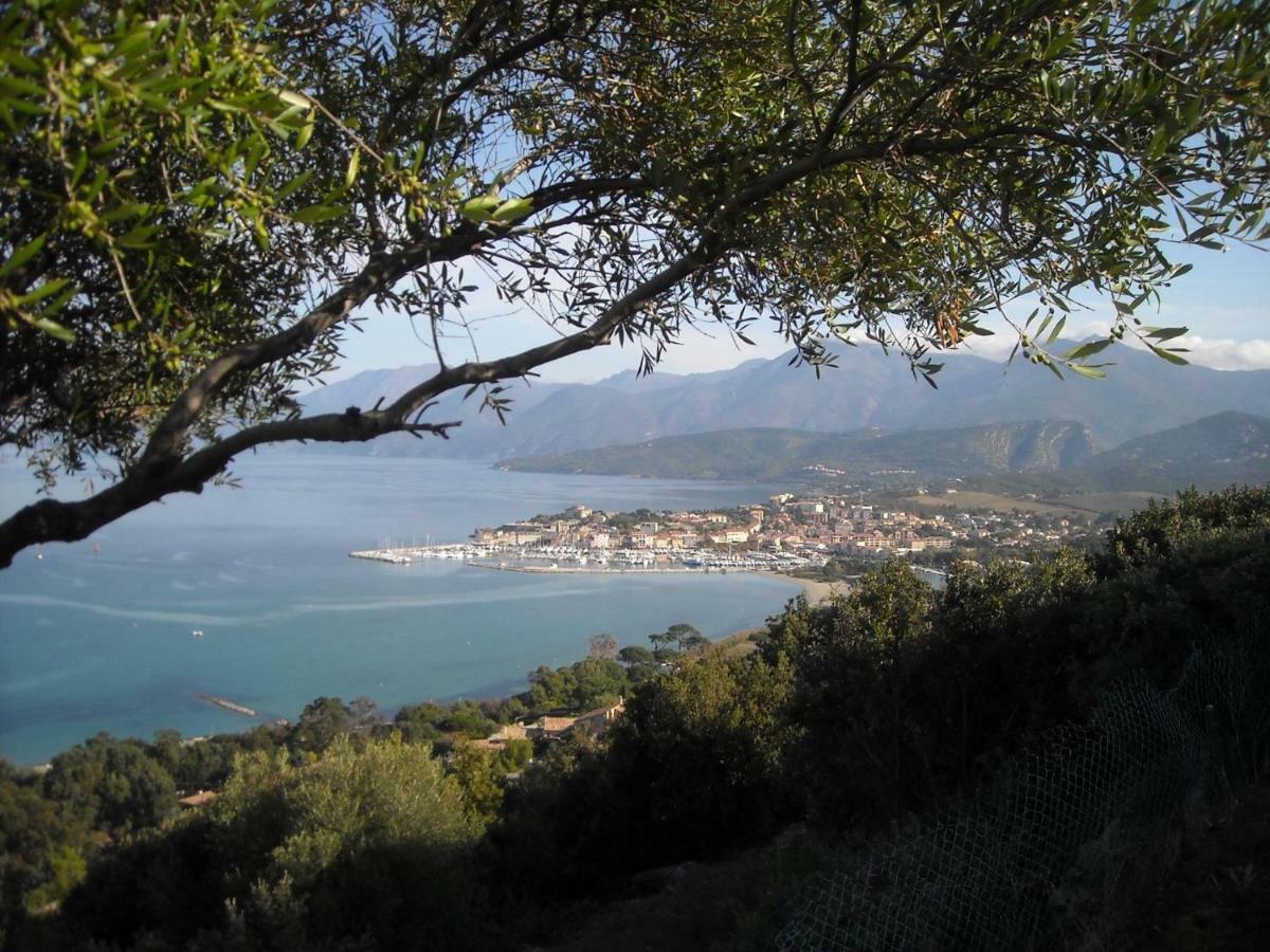 La Marquise Apartment Bastia  Bagian luar foto